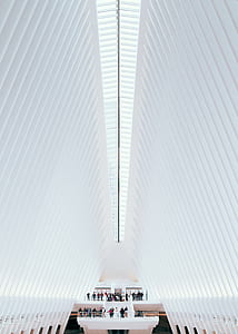 people standing on staircase under white metal roofing thumbnail