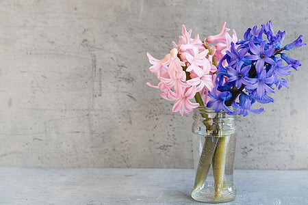pink and purple flowers in clear glass jar thumbnail