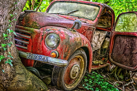 abandoned red vehicle beside tree at daytime thumbnail