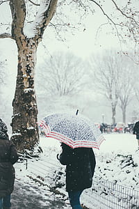 person walking on street under red and blue umbrella during winter thumbnail