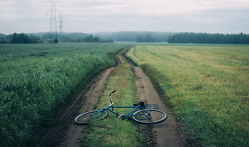 road, landscape, nature, sky thumbnail