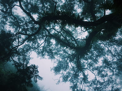 nature, sky, clouds, dark thumbnail