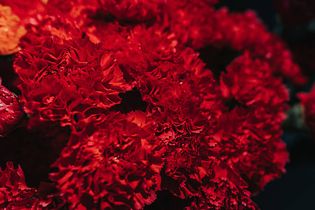 Collection of colourful flower bouquets thumbnail