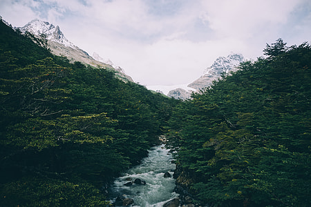river between forest during cloudy sky thumbnail
