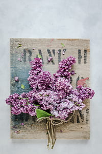 purple lilacs on brown frame closeup photography thumbnail