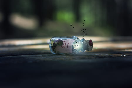 light, glass, blur, colors thumbnail