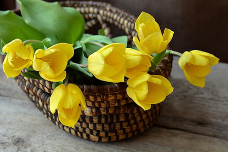 yellow petaled flowers on brown wicker basket thumbnail