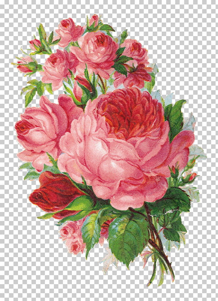 23 Flores Vintage Png Cliparts For Free Download Uihere