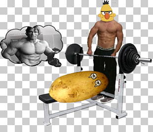 Weight Training Shoulder Barbell Bench Press Barbell Png Clipart