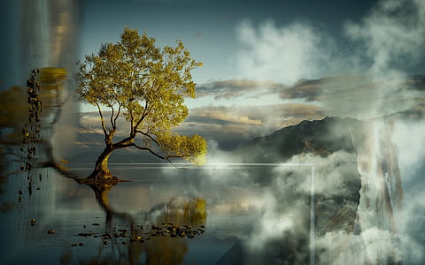 tree on body of water painting thumbnail