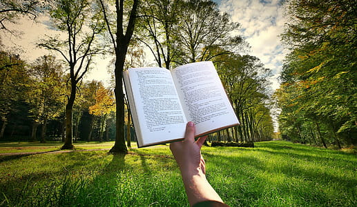 Book held by one hand, reading in the park on a nice day. thumbnail