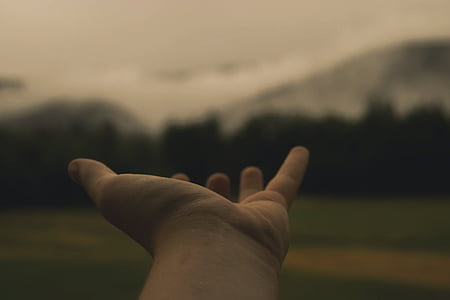 shallow focus photography of person's hand thumbnail