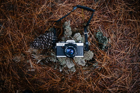 Black Camera thumbnail