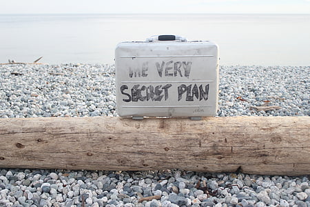 The Very Secret Plan case thumbnail