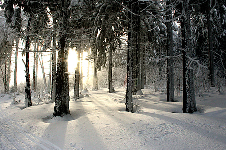 snowy season during daytime thumbnail