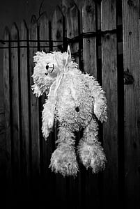 grayscale photo of bear plush toy thumbnail