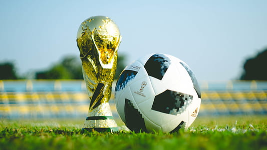 gold trophy beside soccer ball thumbnail
