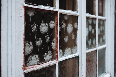 glass window with dandelion print and white steel frame thumbnail
