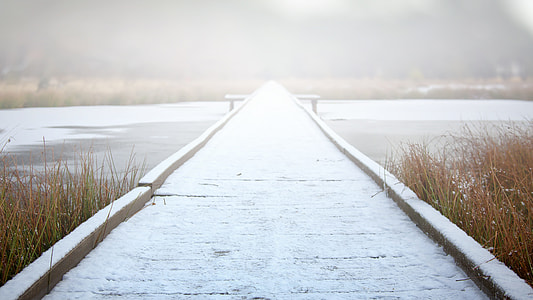 gray wooden dock in between brown grass during daytime thumbnail