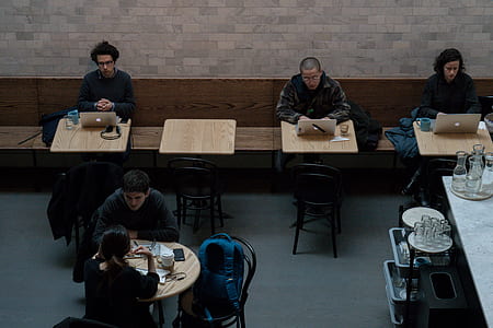 people inside restaurant thumbnail