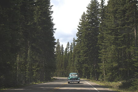 classic green vehicle on road between forest thumbnail