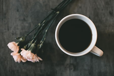 White Ceramic Mug Beside White Petaled Flower thumbnail