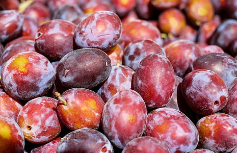 round brown fruit lot thumbnail