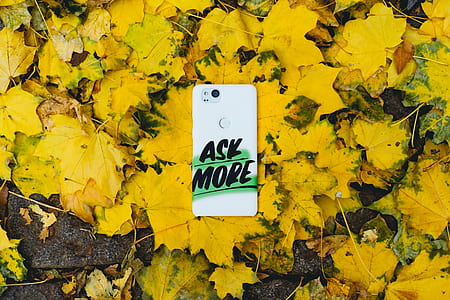 Ask More Google Pixel 2 XL case thumbnail