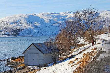 gray and black wooden house near river and tree at daytime thumbnail