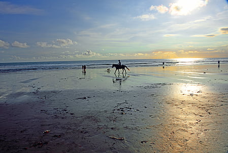person riding on horse beside body of water under cloudy sky thumbnail