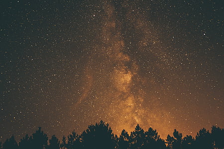 stars in the sky thumbnail