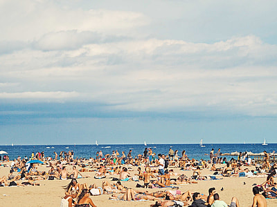 people lying on beige sand near beach thumbnail