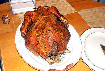 roasted turkey on plate thumbnail