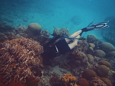 person scuba diving thumbnail
