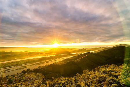 Green Trees Photo during Sunset thumbnail