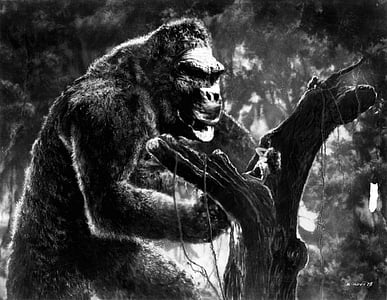 grayscale photo of gorilla thumbnail