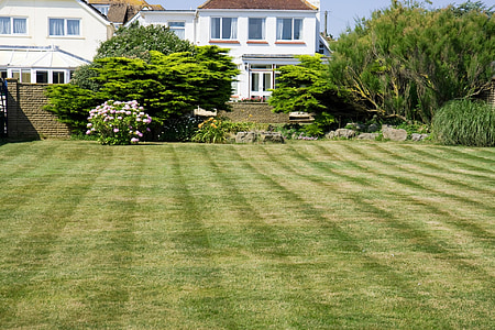 freshly cut lawn in front of white and brown house thumbnail
