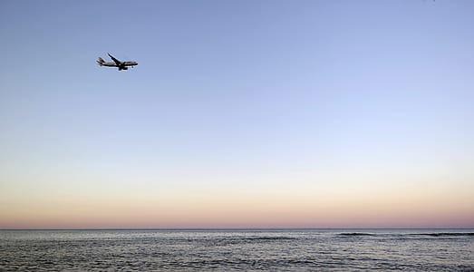 sea, flight, dawn, landscape thumbnail