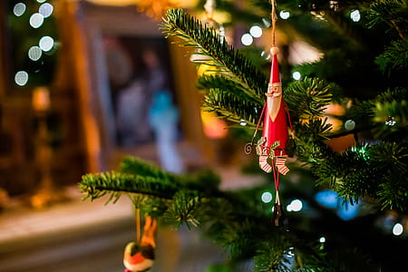 selective photography of Christmas tree ornament thumbnail
