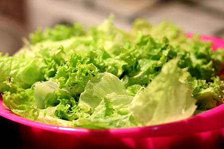 Green and White Lettuce thumbnail