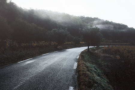 foggy mountain and road thumbnail