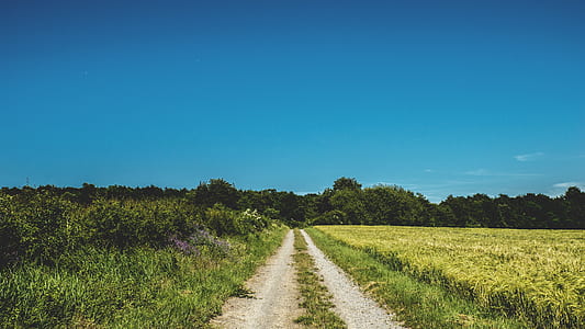 road, landscape, nature, sky thumbnail