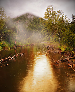 river between green leaf tree during daytime photo thumbnail