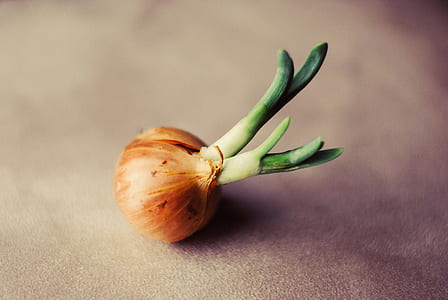 brown onion thumbnail