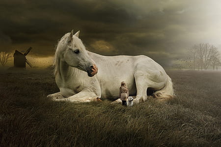 girl and dog beside white horse on green grass field thumbnail