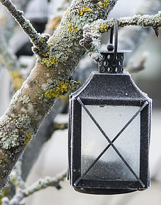 black steel lantern on branch during snow thumbnail