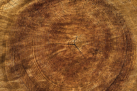 close up photo of brown wood slab thumbnail