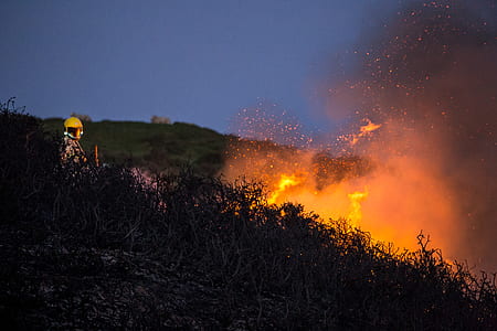 grass near fire at night time thumbnail