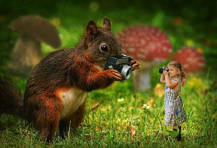 brown squirrel holding camera standing infront of girl in grey dress holding up camera thumbnail