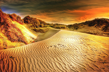brown grass field on desert during gold hour thumbnail